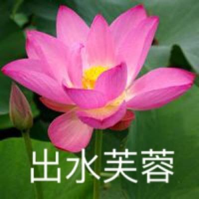 百度茅山异闻录手游下载
